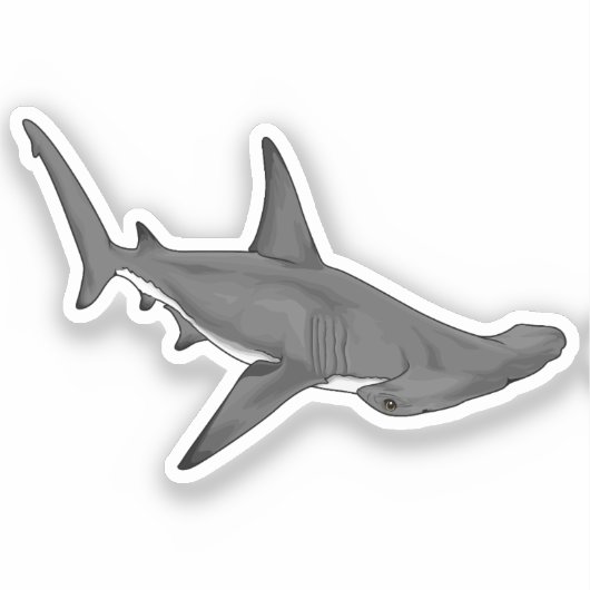 ハンマーヘッドシャークB シール (正面)