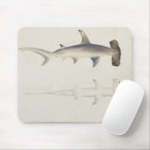ハンマー頭の鮫、以前帰因するLoheia、 マウスパッド (マウス)