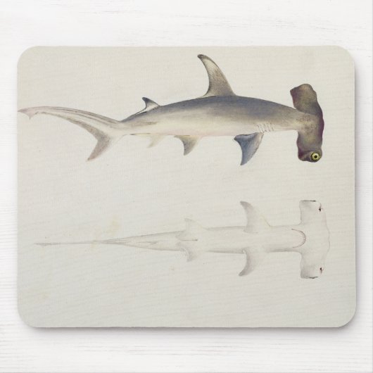 ハンマー頭の鮫、以前帰因するLoheia、 マウスパッド (正面)