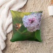 ハンミングバードガ クッション (ブランケット)