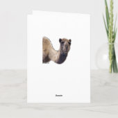 ハンメリープ·デイ·クリスマス·キャメルHO HO HO 2 シーズンカード (裏面)