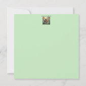 ハンモおもしろいックにサングラスを入れたナマケモノ (裏面)