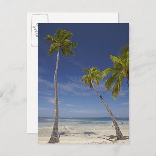ハンモックとパームツリーズプランテーションアイランドリゾート ポストカード (正面/裏面)
