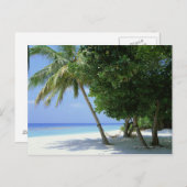 ハンモックとパームツリー ポストカード (正面/裏面)