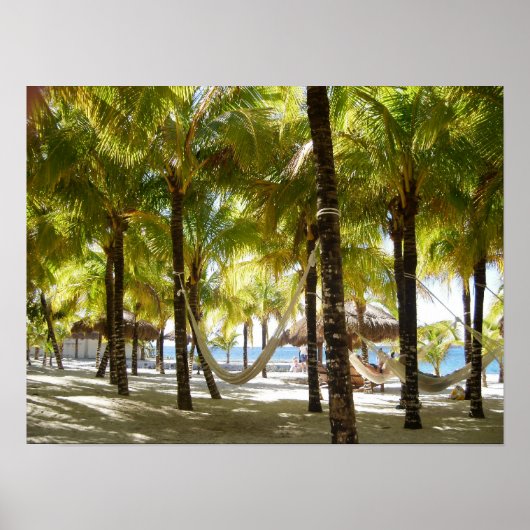 ハンモックとヤシの木の海ポスター ポスター (正面)