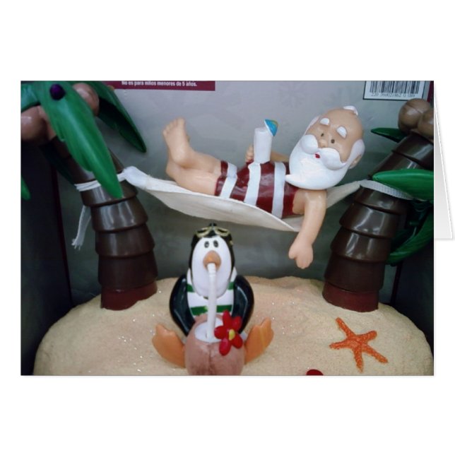 ***ハンモックのサンタ***がメリークリスマスを言う (正面横)