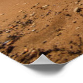 ハンモックオンザショア ポスター (角)