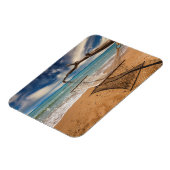 ハンモックオンザショア マグネット (左側)