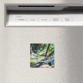 ハンモックオンビーチフィジー マグネット (インサイチュ (食洗機))