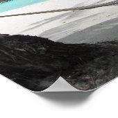 ハンモックオンボラボラのポスター ポスター (角)