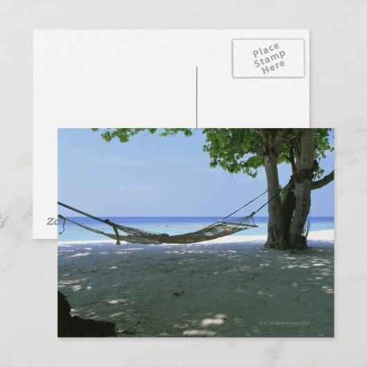 ハンモック 2 ポストカード (正面/裏面)