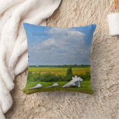 ハンモナスアセットビーチ枕 クッション (ブランケット)