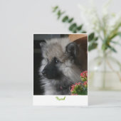 ハヴェルがアメリカのはがきに到着 ポストカード (スタンド正面)