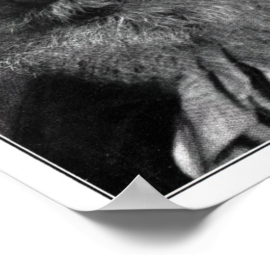 ハヴェロックエリス ポスター (角)