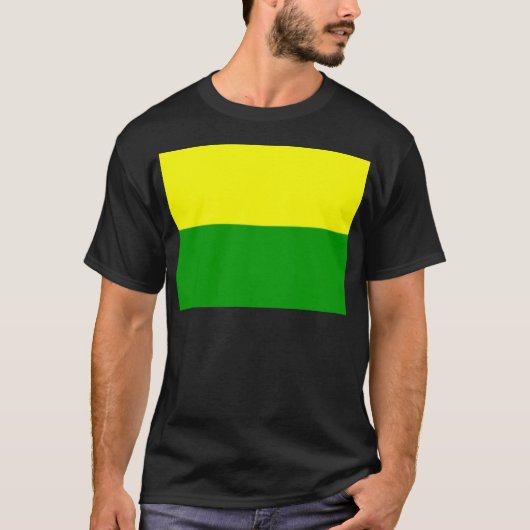 ハーグ国旗 Tシャツ (正面)
