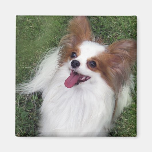 ハーシーキスヒーローケネルグッズ マグネット (正面)