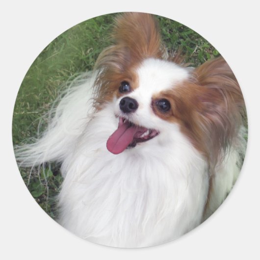 ハーシーキスヒーローマディグッズ ラウンドシール (正面)