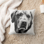 ハースの視線を集める クッション (ブランケット)