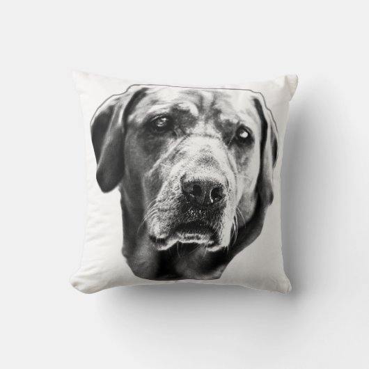 ハースの視線を集める クッション (正面)