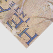 ハースカバ国際的ー、アルフォンスミュシャ 薄葉紙 (詳細)