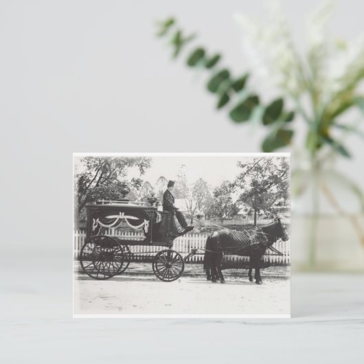 ハース ポストカード (スタンド正面)