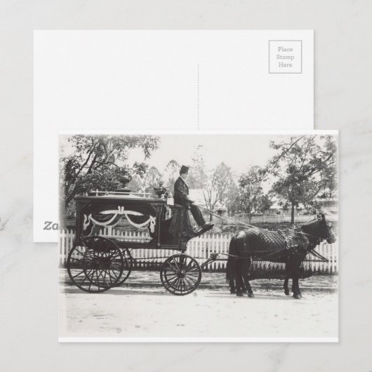 ハース ポストカード (正面/裏面)