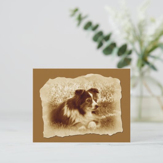 ハーディングドッグヴィンテージセピアトーン ポストカード (スタンド正面)