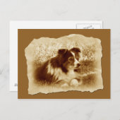 ハーディングドッグヴィンテージセピアトーン ポストカード (正面/裏面)