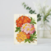 ハーディ・アザリースバイサー・ジョセフ・パクストン ポストカード (スタンド正面)