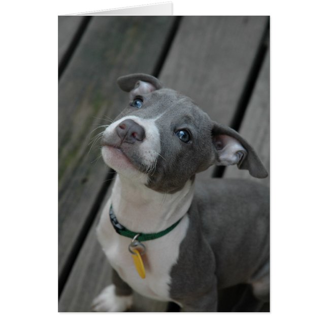 ハートから (正面)