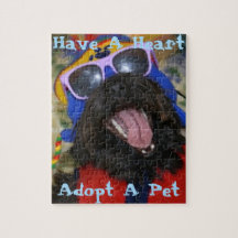 ハートだ。ペットを飼いなさい。