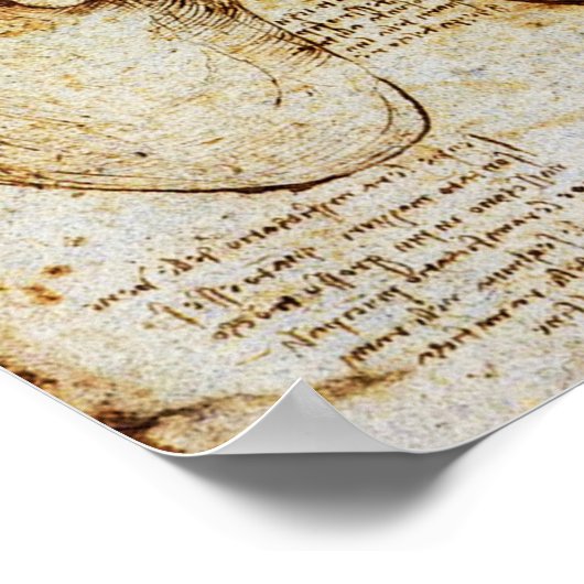 ハートとその血管 ポスター (角)