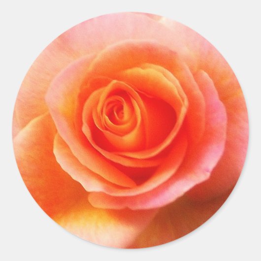 'ハートのバラ'シール ラウンドシール (正面)