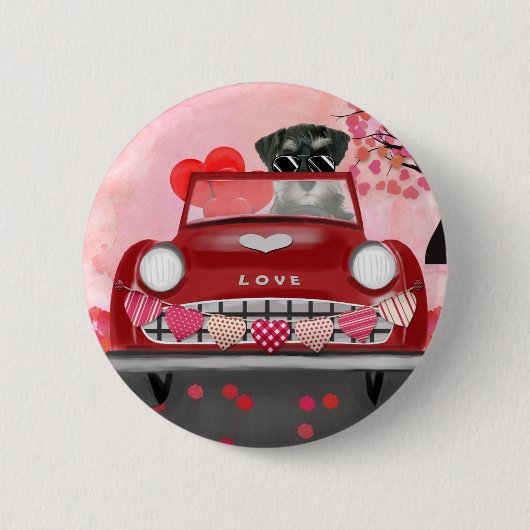 ハートのバレンタインズ・シュナウザー犬の車 缶バッジ (正面)