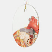 ハートの側面図の人工的なモデル セラミックオーナメント (左)