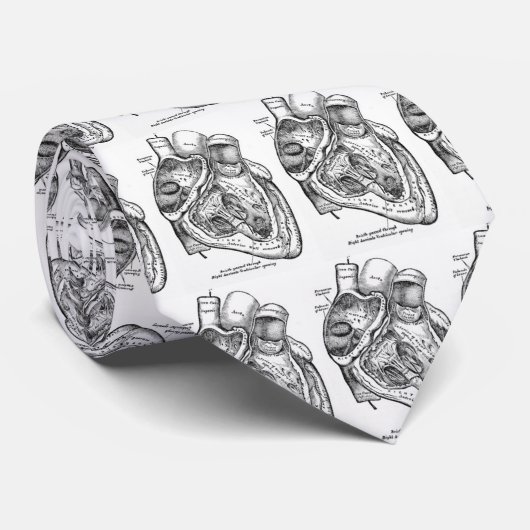 ハートの医者 ネクタイ (ロール)