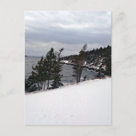 ハートの喜び ポストカード (正面)