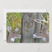 ハートの彫刻が施された木の前で一緒にいる雌鹿と雄鹿のアニバーサリー 招待状 (正面)