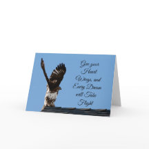 ハートの羽の赤い尾を持つタカの写真