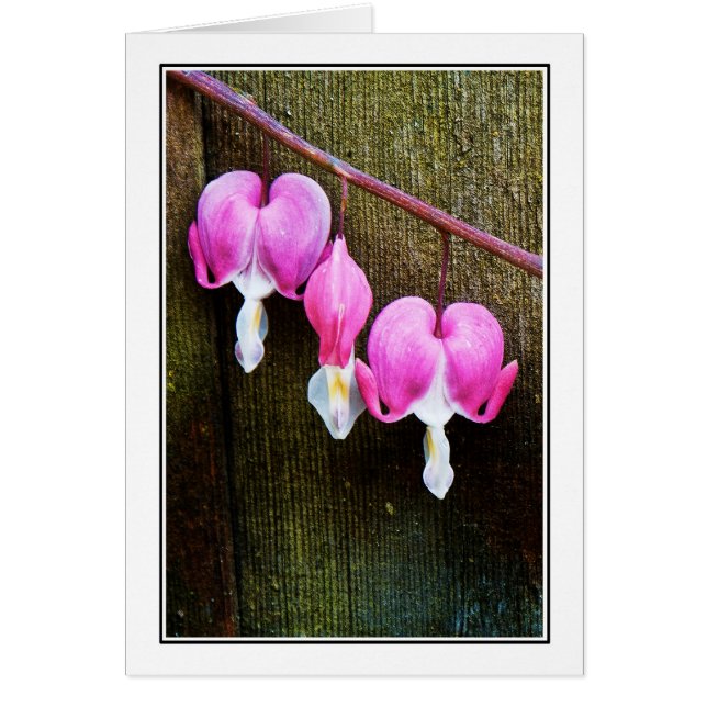 ハートの裁ち切り (正面)