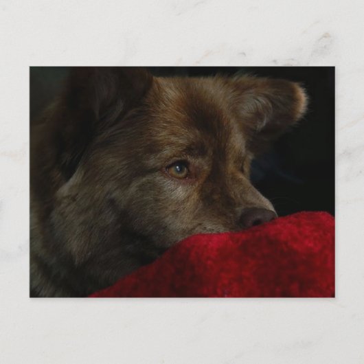 ハートの郵便はがきが付いている食事の組合せ ポストカード (正面)