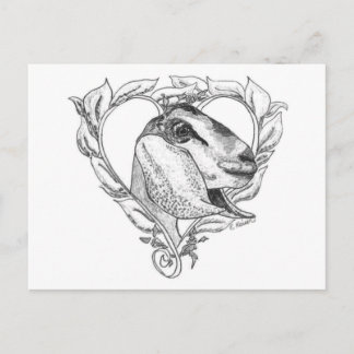 ハートのNubianの頭部 ポストカード