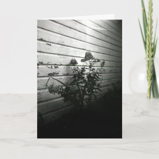 ハートは喜びを最初に頼みます カード (正面)