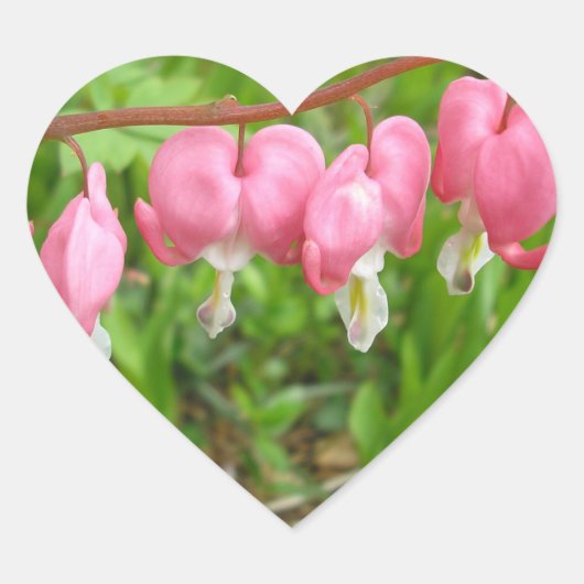 「ハートは喜ぶ！」 ハートシール (正面)