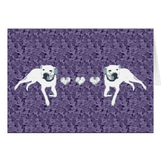 ハートまたは紫色の白いアメリカのピット・ブル