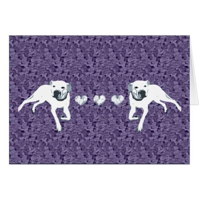 ハートまたは紫色の白いアメリカのピット・ブル (正面横)