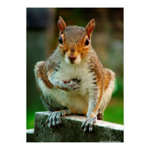 「ハートを渡る」