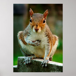 「ハートを渡る」 ポスター