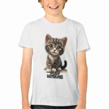 ハートを溶かす子猫