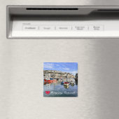 ハートカスタムメヴァギセイフィッシュランディングキーコーンウォール マグネット (インサイチュ (食洗機))